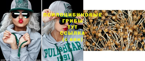 mdpv Дегтярск