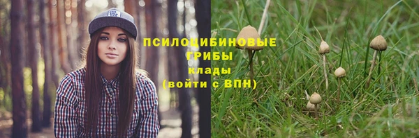 героин Пересвет